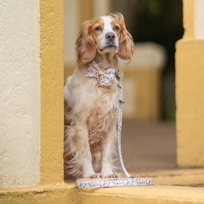Fabric Dog Lead - Spring Garden