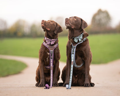 Streamline Pro™ Dog Harness - Daydream Heights