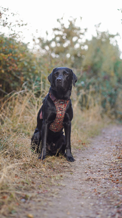 Hike & Go™ Harness - Foragers Forest