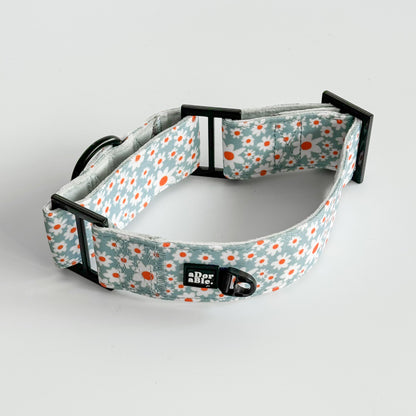 Martingale Collar - Oopsy Daisy