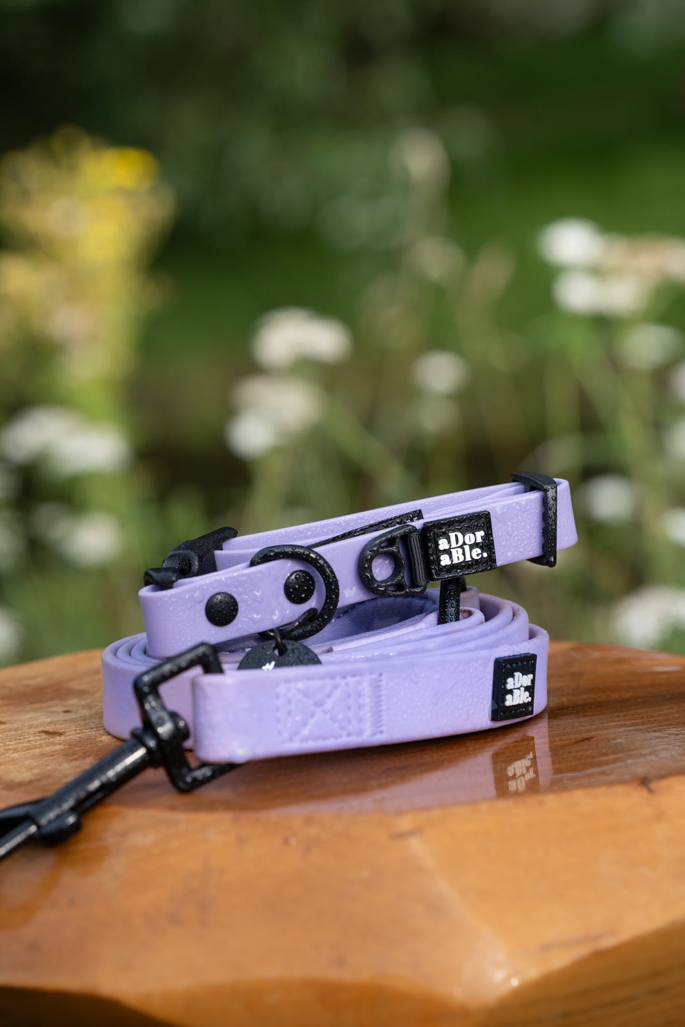 HydroFlex Lite™ Dog Collar - Lavender