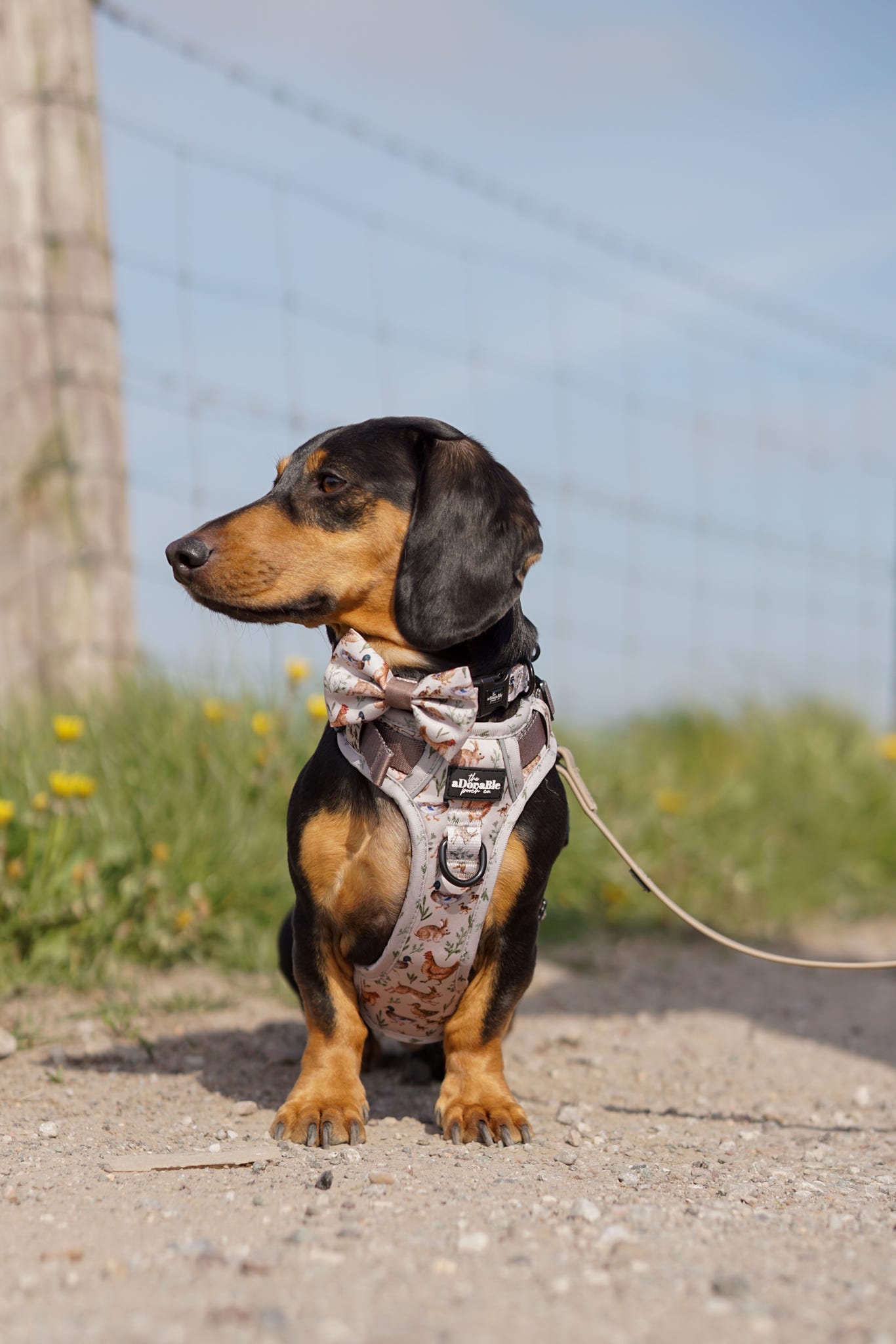 Dog Dickie Bow Tie - Cotswold Cottage