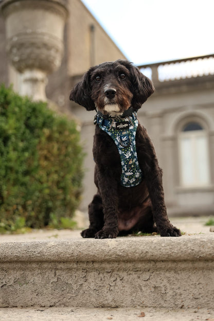 Hike & Go Lite™ Harness - Twelve Days