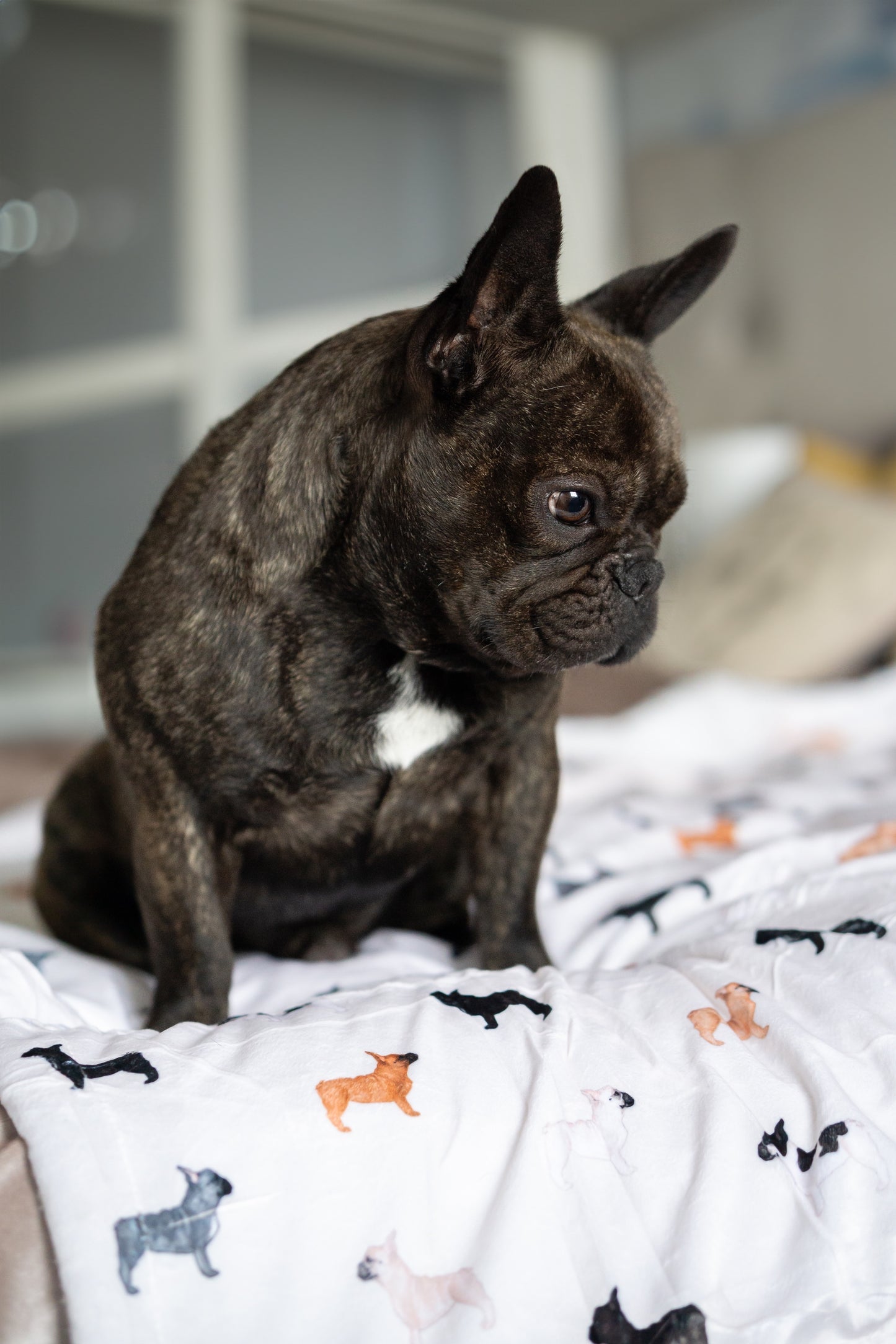 Supersize Soft Blanket - Watercolour French Bulldogs