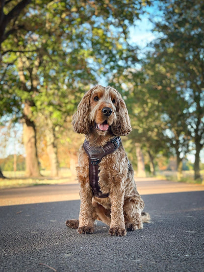 Streamline Pro™ Dog Harness - Heritage Collection - Truffle Brown