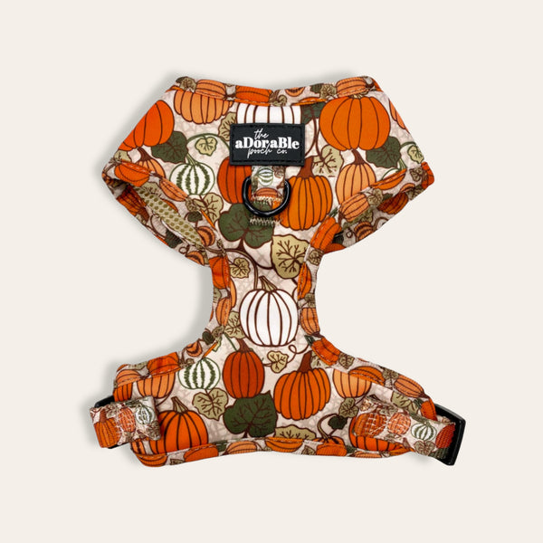 Adjustable Harness - Pumpkin Patch