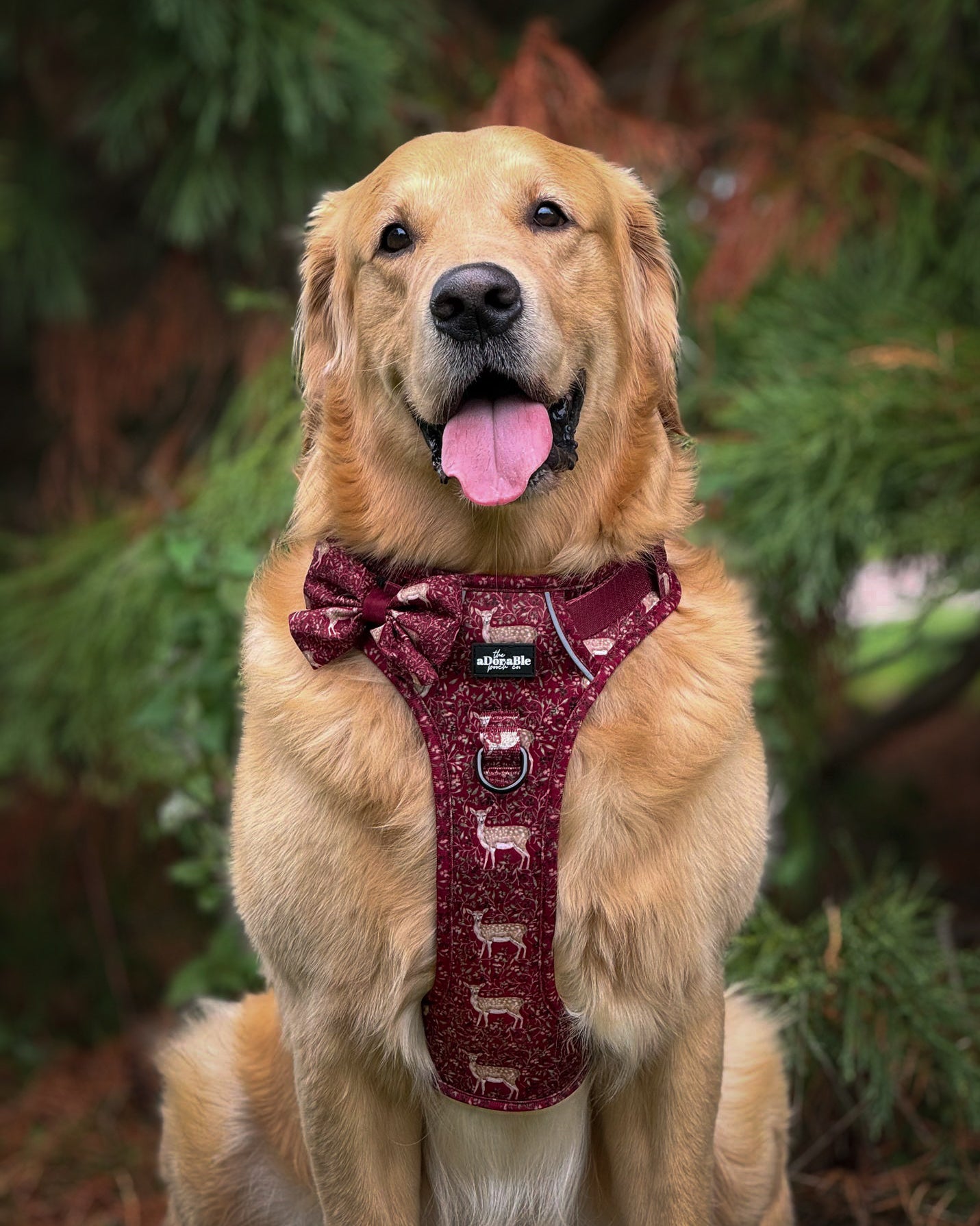 Hike & Go Lite™ Harness - Winter Fawn