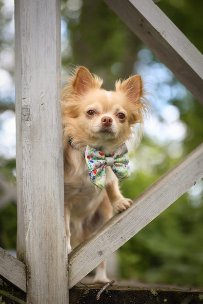 Dog Sailor Bow Tie - Wildflower Meadow