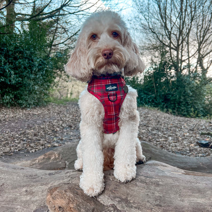 Adjustable Harness - LUXE Berry Red Plaid