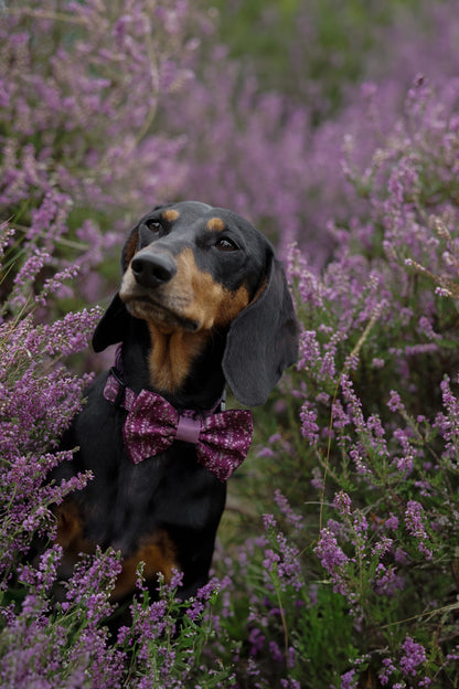 Bow Tie - Highland Heather