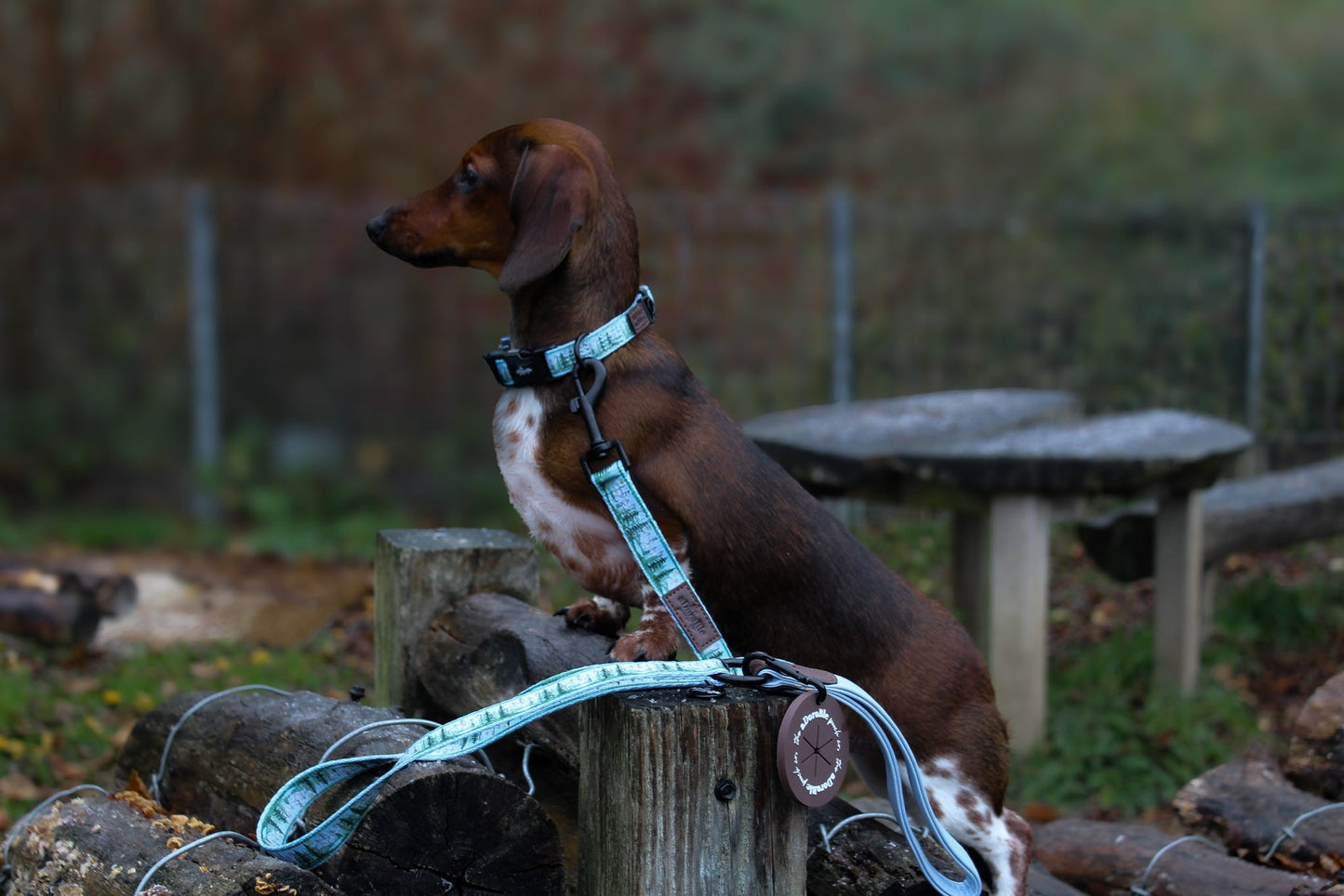 Lead - Daydream Heights