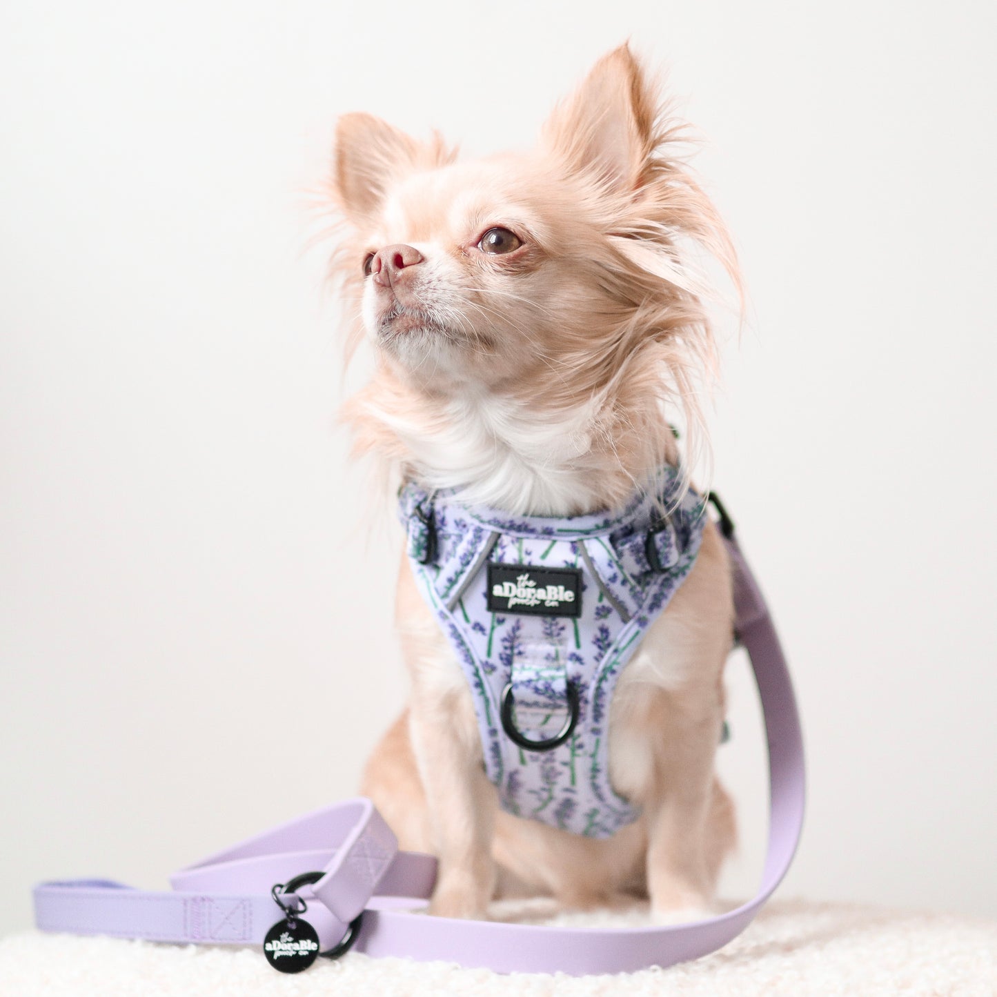 HydroFlex™ Two-tone Waterproof Dog Lead - Lavender