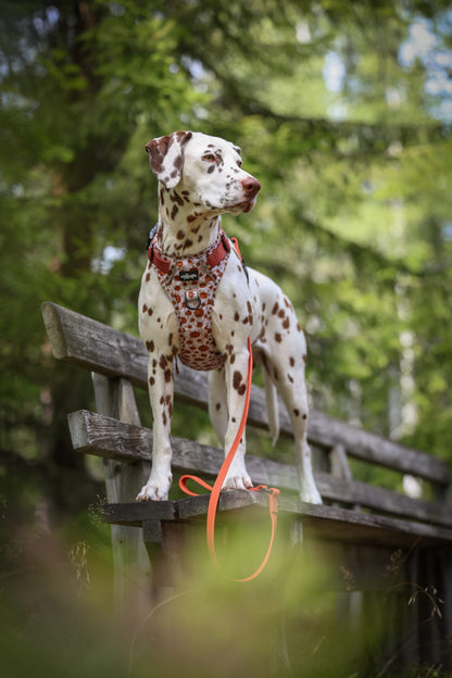 Hike & Go™ Harness - Pumpkin Farm