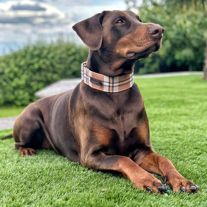 Heritage Martingale Collar - Butterscotch Biscuit