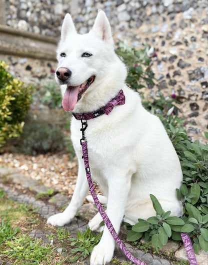 Lead - Highland Heather