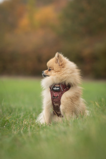 Hike & Go Lite™ Harness - Winter Fawn