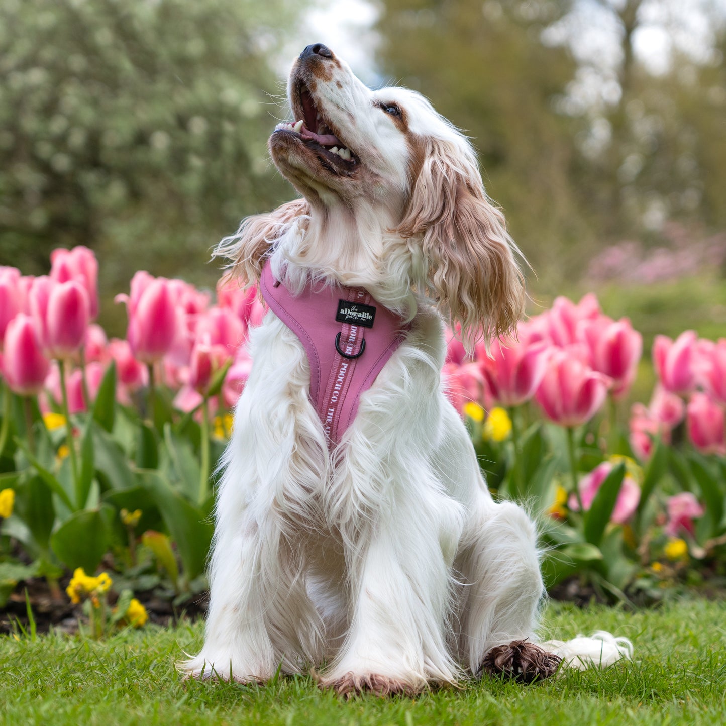 Adjustable Harness - Classic Collection - Dusty Rose - Large