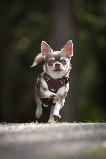 Streamline Pro™ Dog Harness - Heritage Collection - Truffle Brown