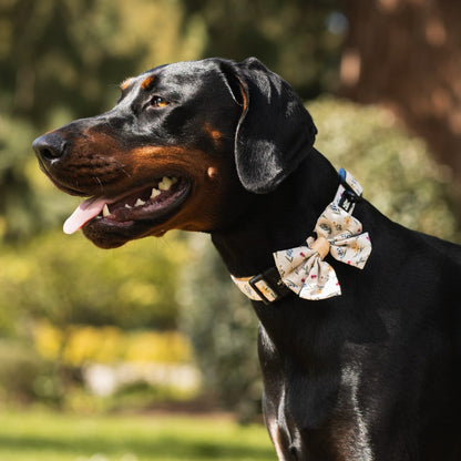 Dog Collar - Spring Garden