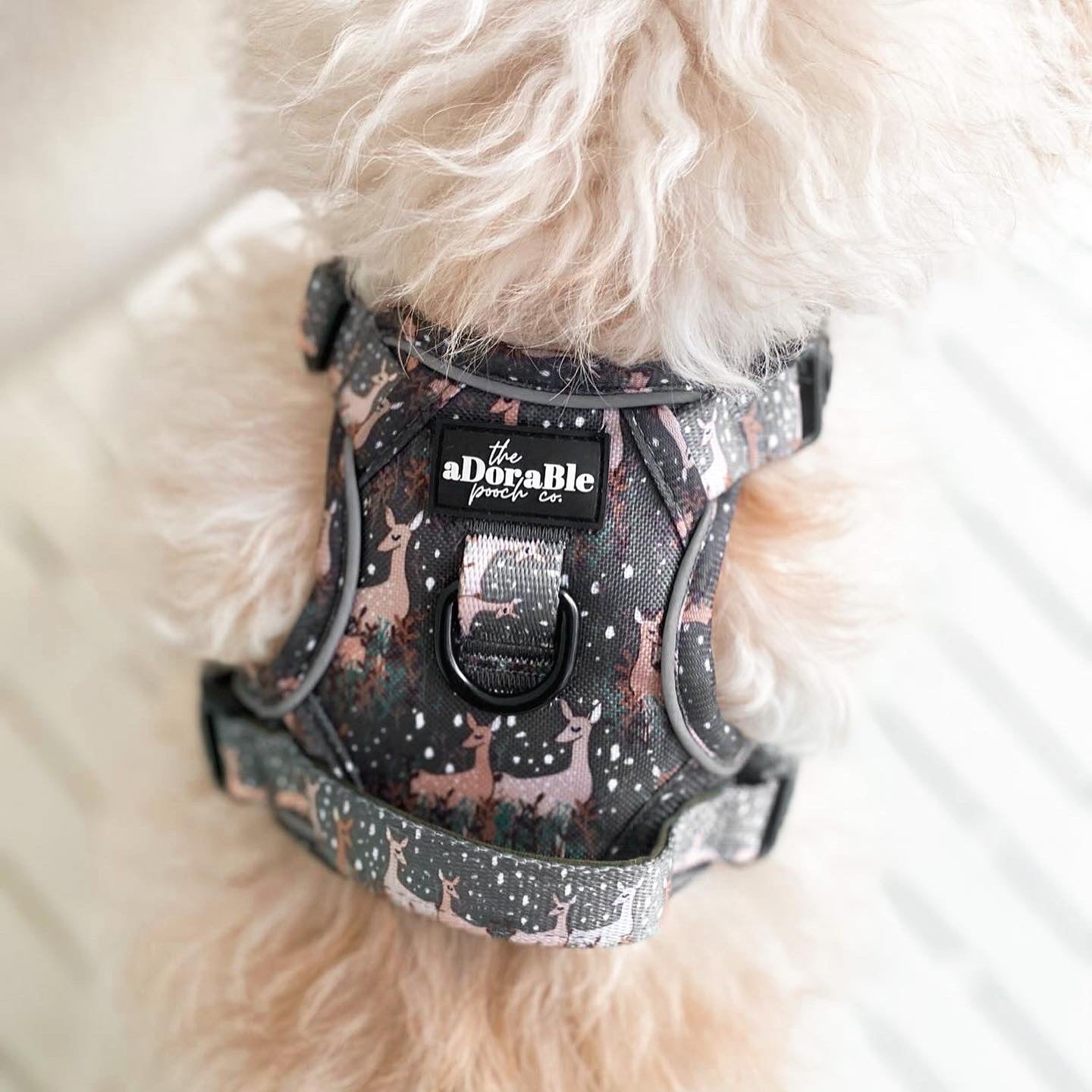 Hike & Go™ Harness - Nature Trails