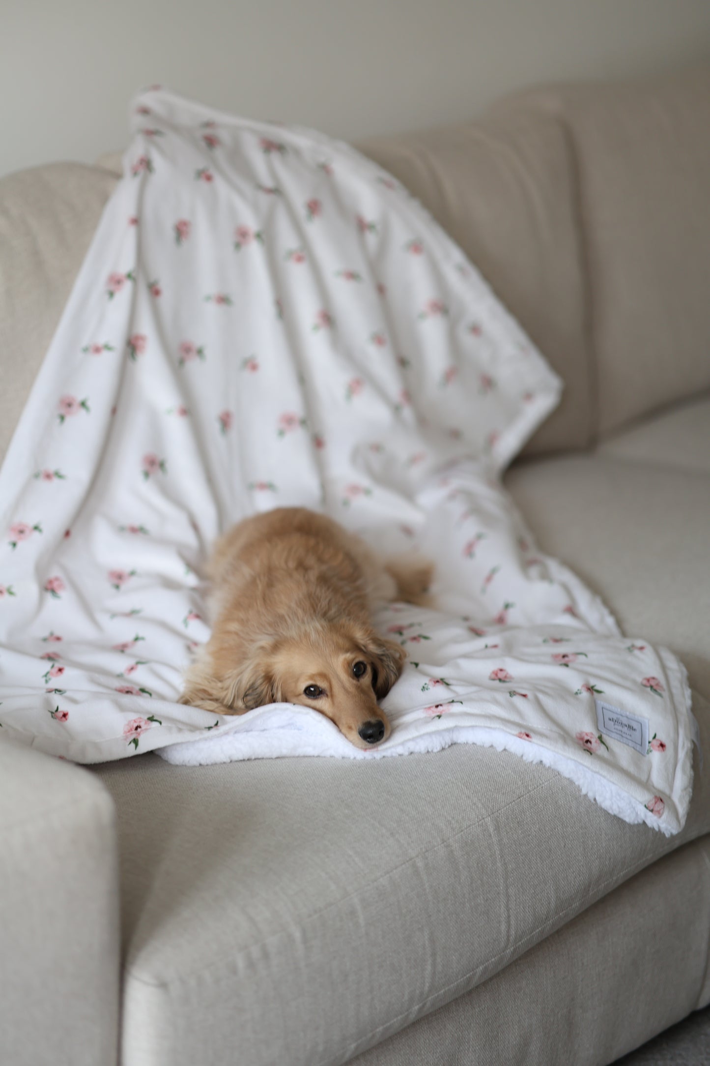 Supersize Soft Blanket - Peony Petals