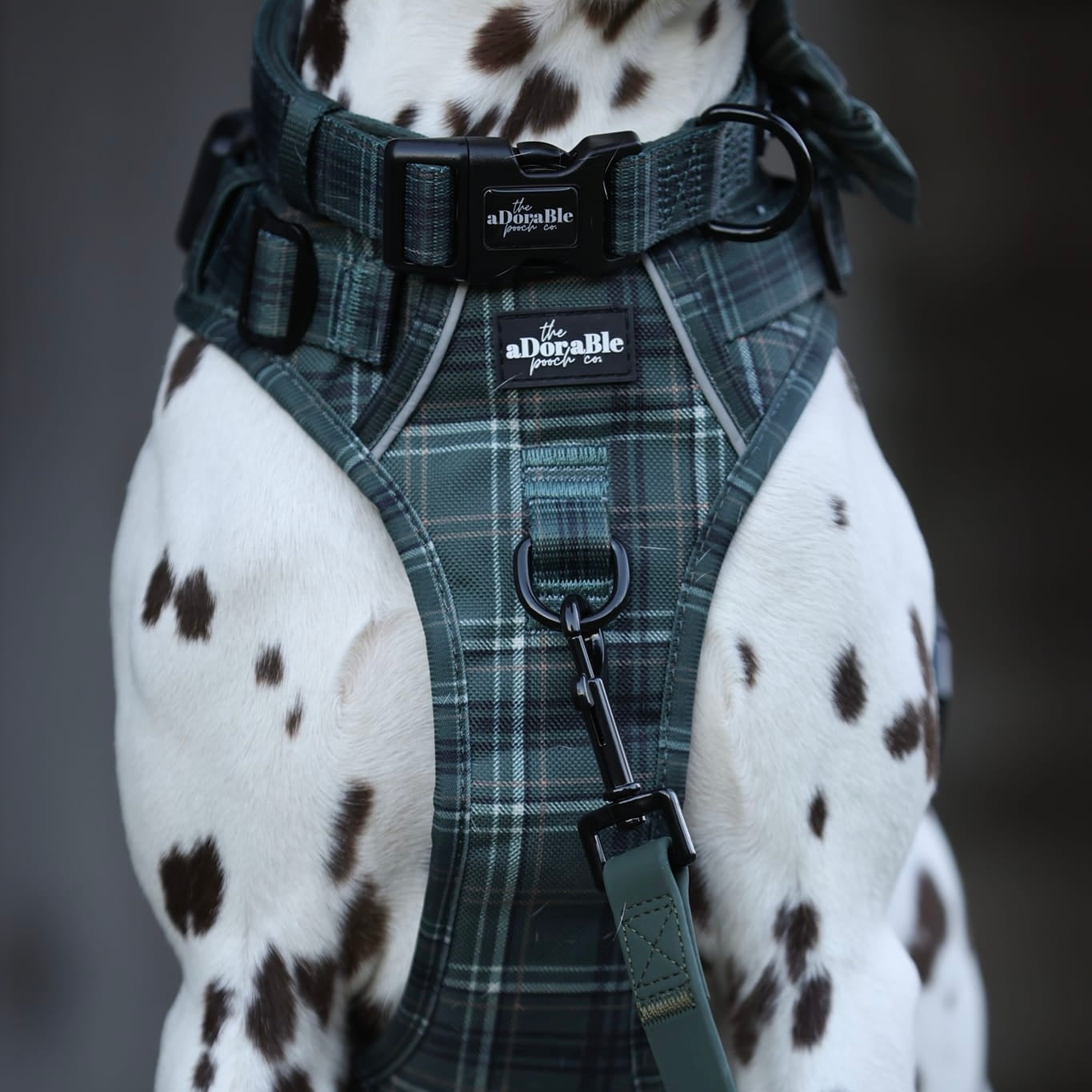 Collar - LUXE Hunter Green Plaid