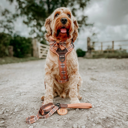 Streamline Pro™ Dog Harness - Heritage Collection - Butterscotch Biscuit