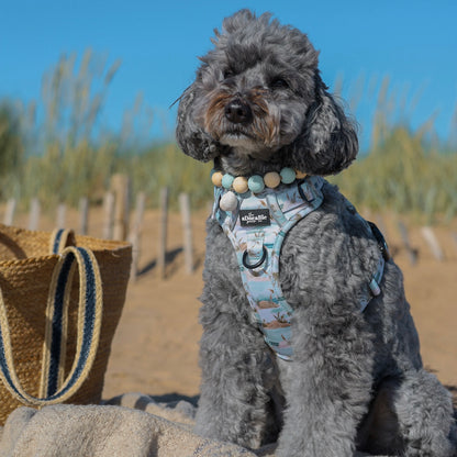 Hike & Go Lite™ Harness - Coastal Beach Grass