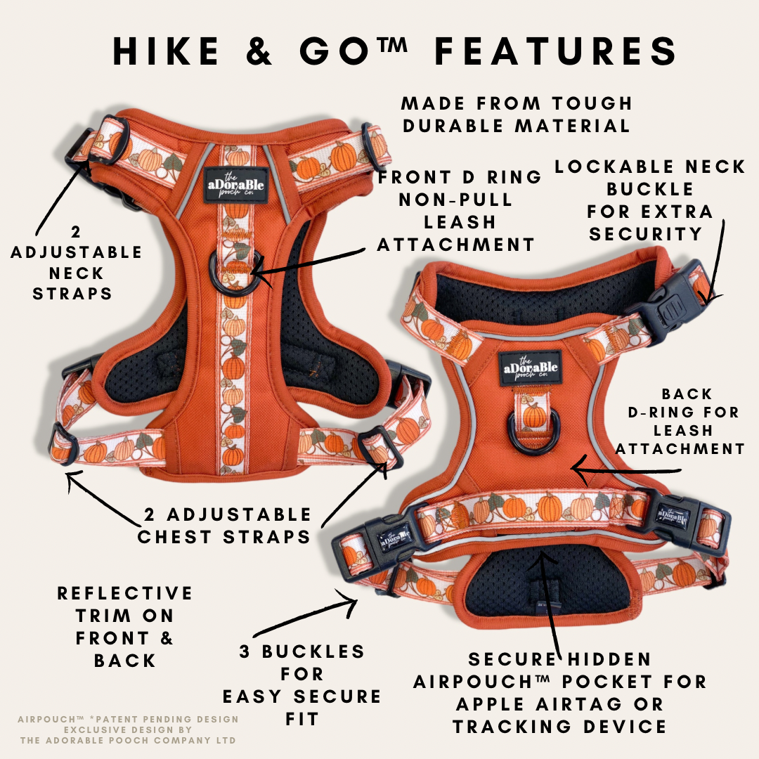 Hike & Go™ Harness - Pumpkin Fields