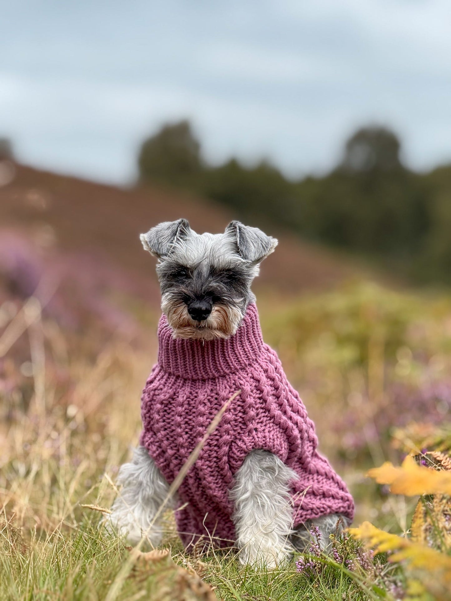 Hand Knitted Dog Jumper - Mauve (seconds)