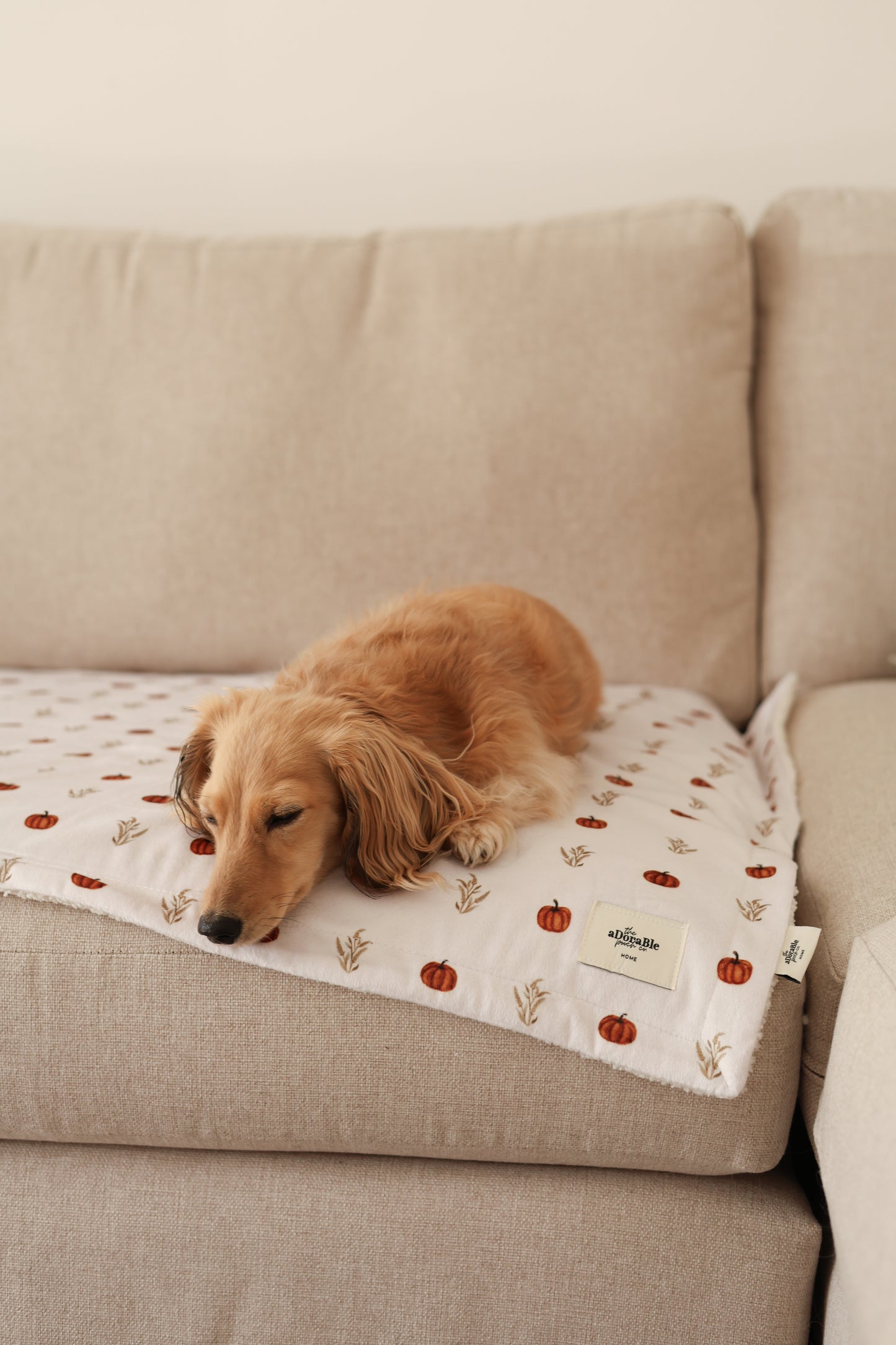 Dog Bed Blanket - Pumpkin Farm