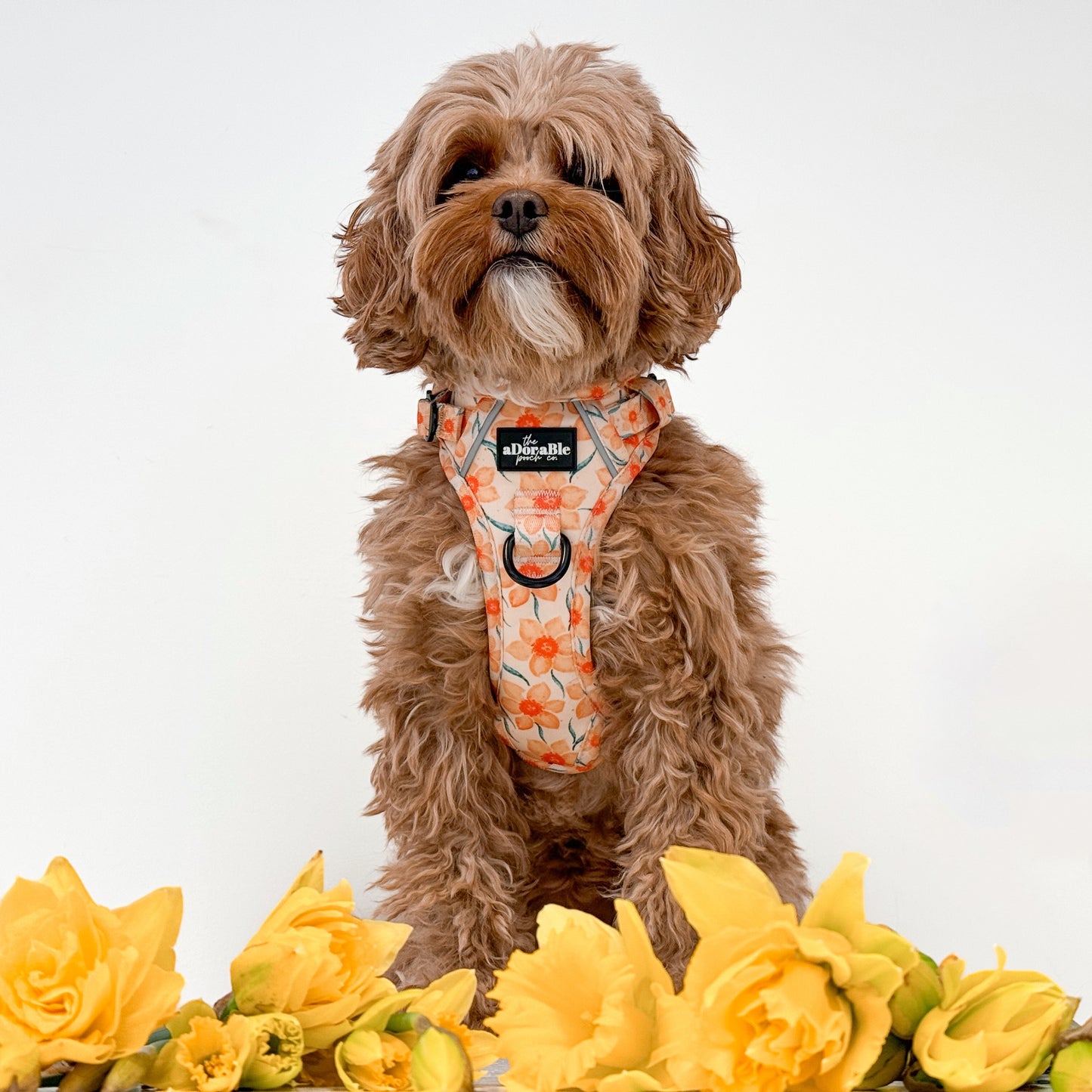 Hike & Go Lite™ Harness - Delicate Daffodils