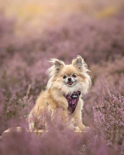 Hike & Go™ Harness - Highland Heather