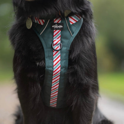 Hike & Go™ Harness - Candy Cane Forest