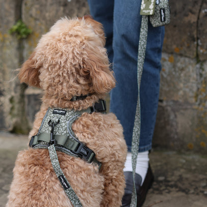 Laura Ashley Fabric Dog Lead - Sweet Alyssum