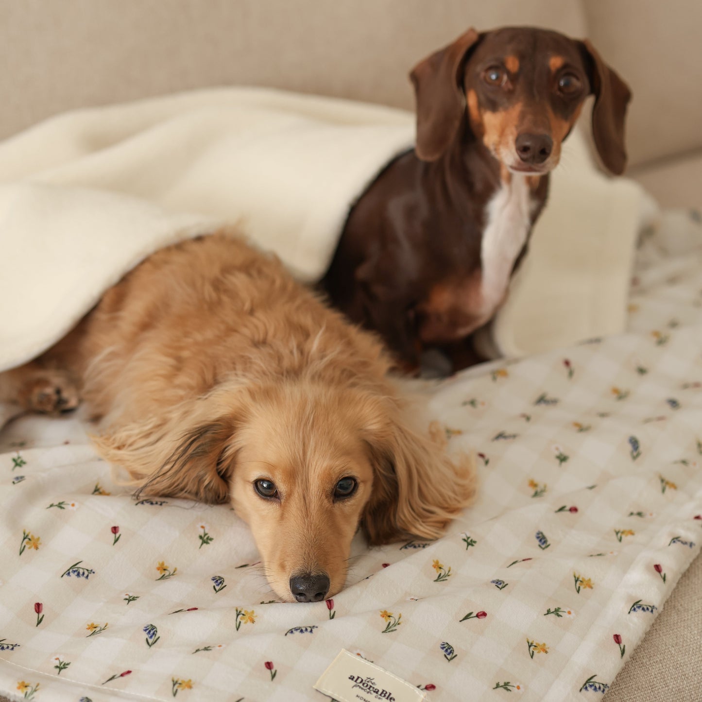 Dog & Puppy Bed Blanket - Spring Garden