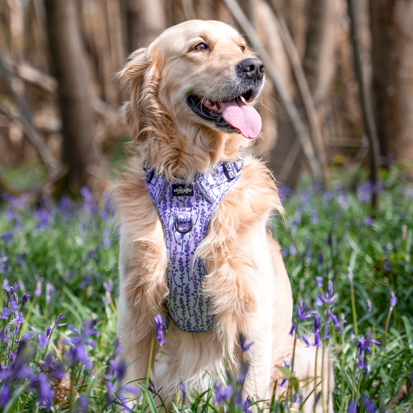 Hike & Go Lite™ Harness - Lavender Haze