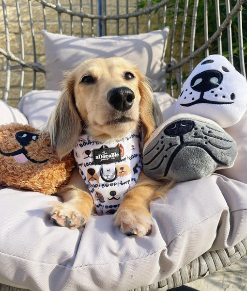 The aDoraBle Pooch Co x Boop My Nose Plush Toys