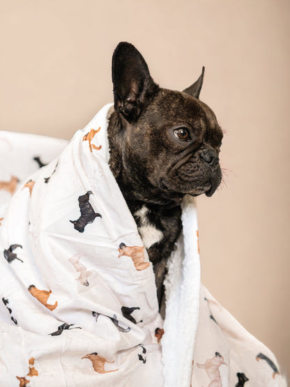 Supersize Soft Blanket - Watercolour French Bulldogs