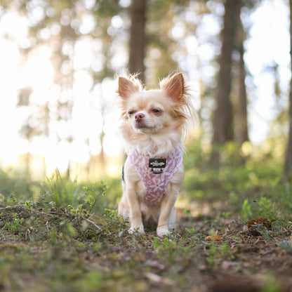 Adjustable Harness - Dandy Daisy