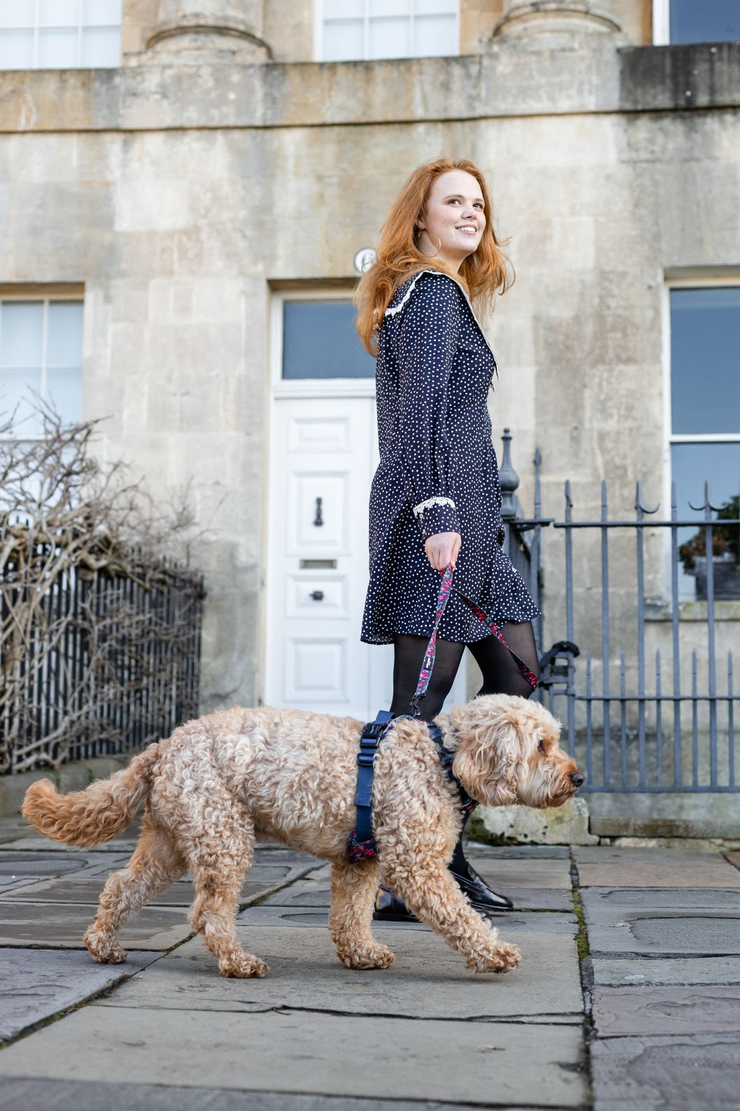 Laura Ashley Dog Harness - Gosford Meadow