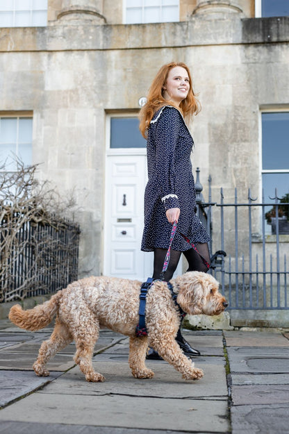 Laura Ashley Dog Harness - Gosford Meadow