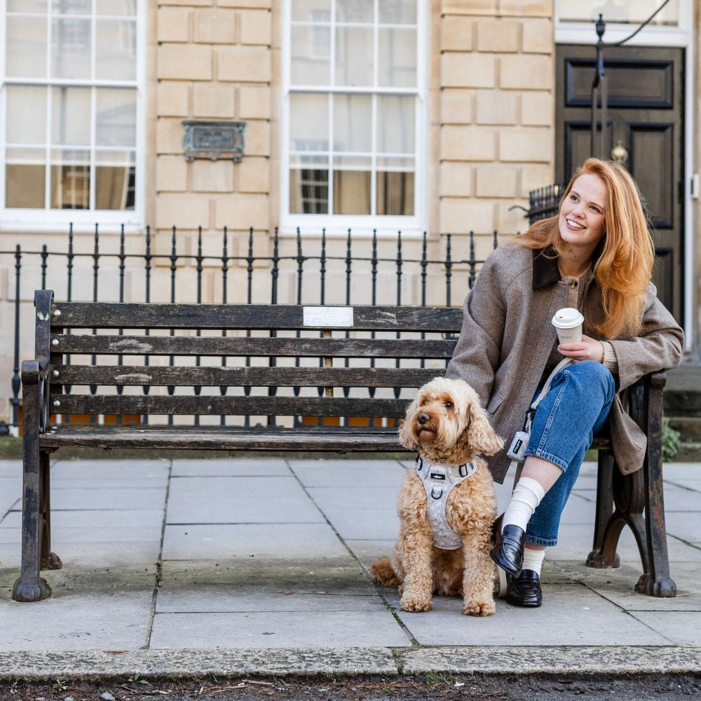 Woman with a dog sitting on a bench in front of a building