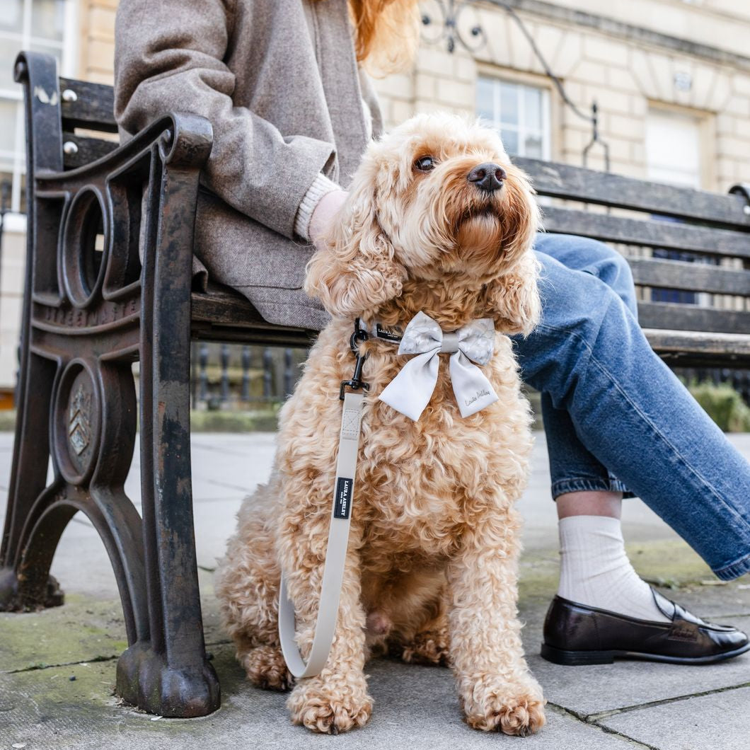 Woman sitting on a bench with a dog wearing a sailor bow tie in the Magnolia Grove Laura Ashley collection design