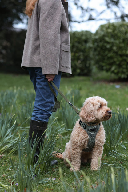 Laura Ashley Waterproof Dog Lead - Sweet Alyssum