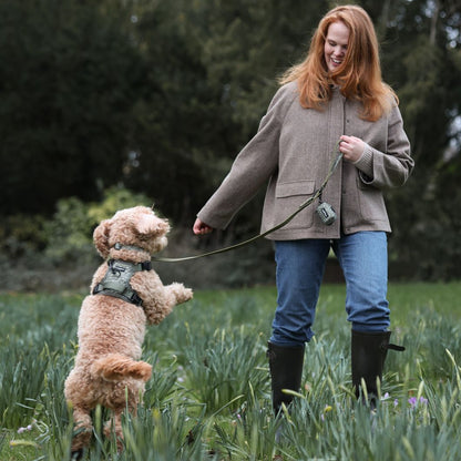 Laura Ashley Dog Waste Bag Dispenser - Sweet Alyssum