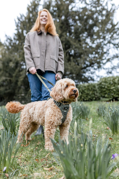 Laura Ashley Waterproof Dog Lead - Sweet Alyssum