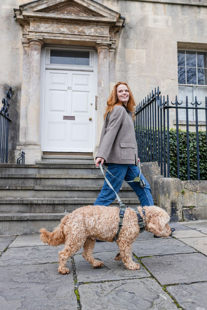 Laura Ashley Fabric Dog Lead - Sweet Alyssum