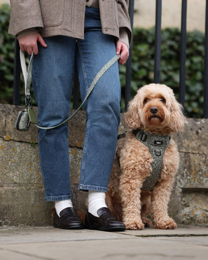 Laura Ashley Fabric Dog Lead - Sweet Alyssum
