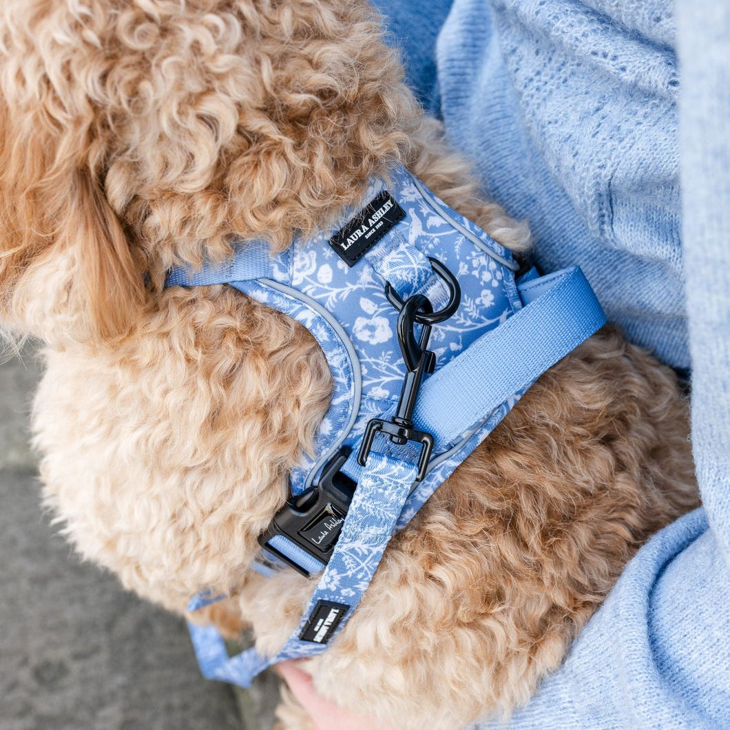 Laura Ashley Dog Harness - Shepherd's Purse